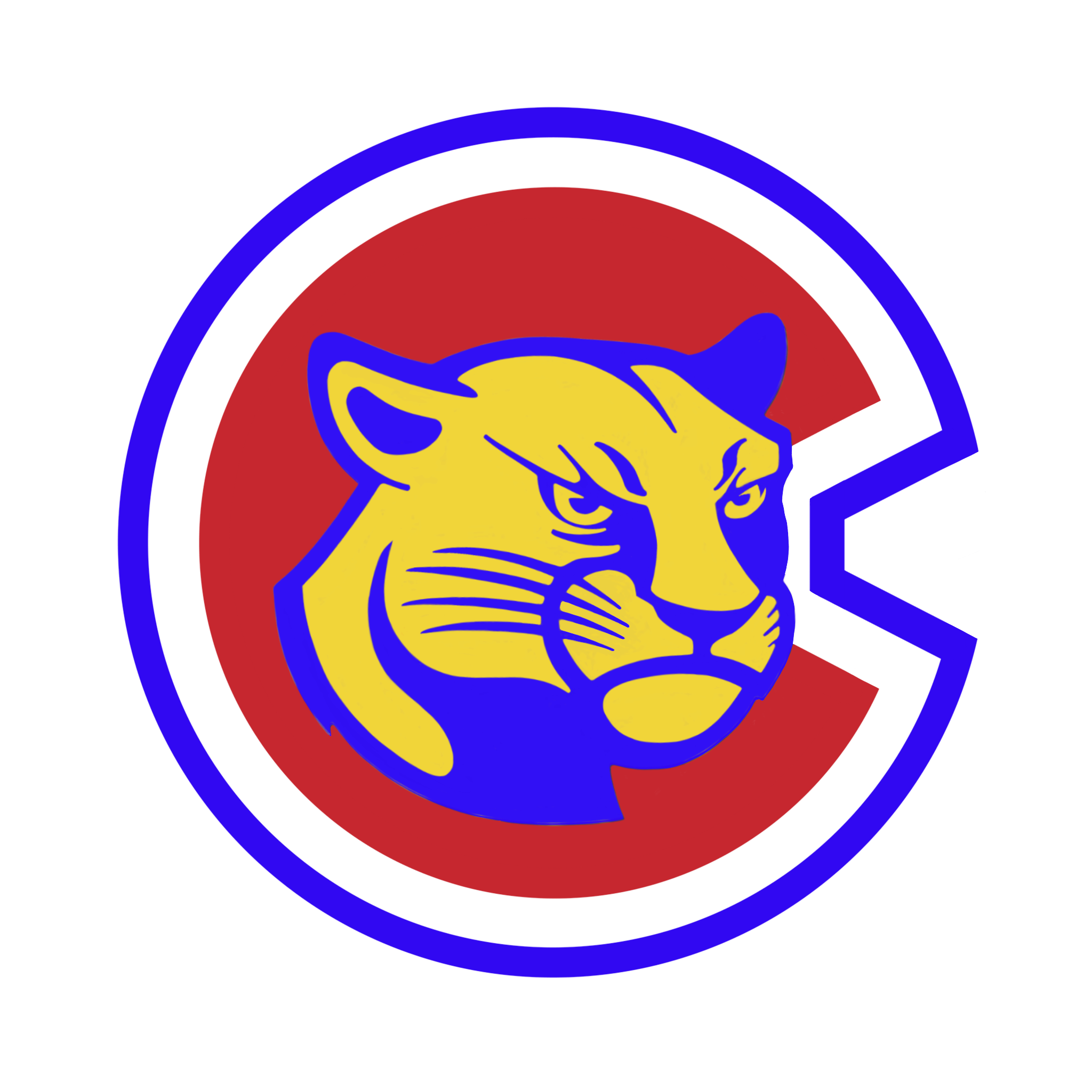 CAA Logo